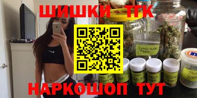 мдпв Гатчина
