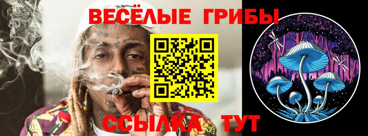 Нижнекамск  Галлюциногенные грибы Cubensis  Вход с VPN 